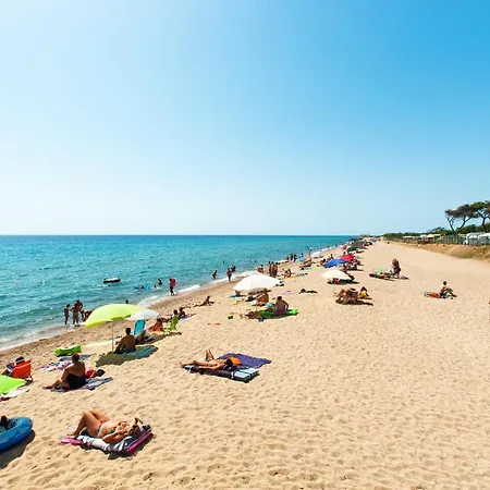 Campsite Camping El Pinar