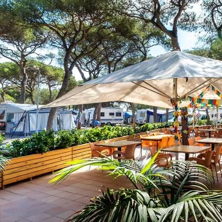 Camping El Pinar * Blanes
