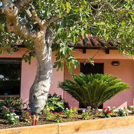 Campsite Camping El Pinar