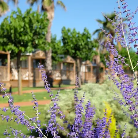 Camping El Pinar